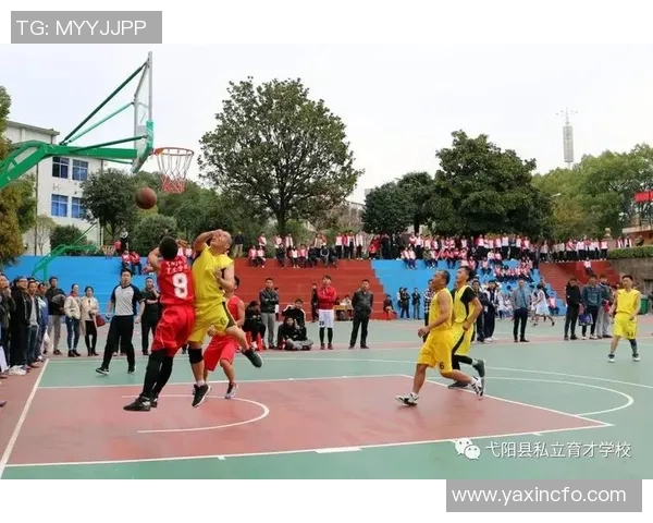 深入分析杭州羽毛球队独特的边路渗透战术及其战术优势