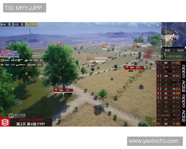 热议和平精英RNG战队比赛经验的创新与变革之路